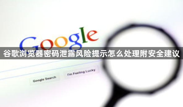 谷歌浏览器密码泄露风险提示怎么处理附安全建议1